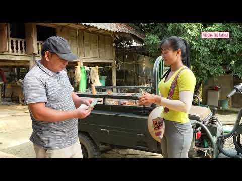 Secrets of Traditional Farming The Poultry Industry on a 3