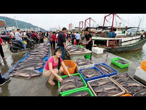 Tons of Mud Catfish By 3 Wheeled Vehicle Transport