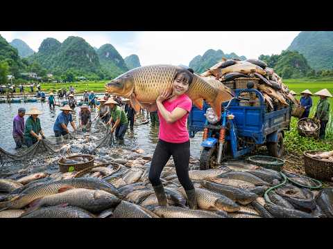 3 Wheeled Vehicle Harvesting A Lot Of Giant Fish At Pond Go