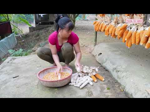Harvesting A Lot Of Geese By 3 Wheeled Vehicle Go To