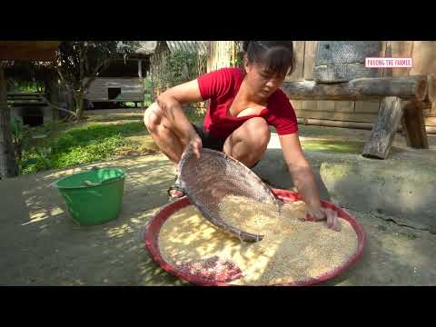Catching Crabs Cooking Fresh Food Bad Guy Broke Into The