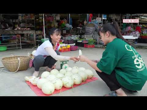Harvesting Milk Melons Sugarcane Pumpkins Go To Market Sell