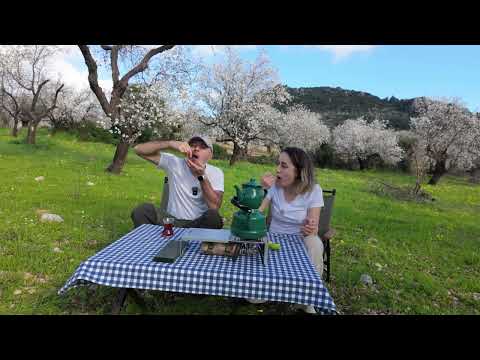 DATÇA BADEM ÇİÇEĞİ FESTİVALİ VLOG 2026 BAHARIN MÜJDECİSİ
