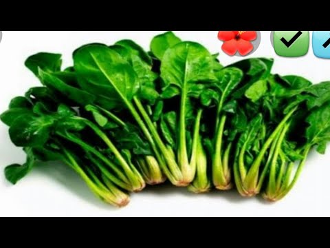 ISPANAĞI BU ŞEKİLDE YAPIN BAŞ TACI YEMEĞİNİZ OLACAK