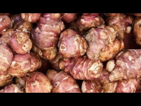 YER ELMASINDAN YEMEK OLURMU DEME OLDU