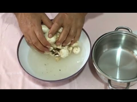 MANTARIN İÇİNDEN ÇIKANLARA BAKIN MANTAR YIKANIRMI çok kolay