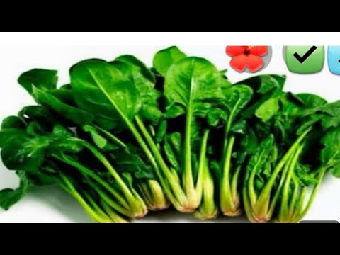 ISPANAĞI BU ŞEKİLDE YAPIN BAŞ TACI YEMEĞİNİZ OLACAK