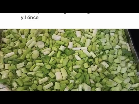 Bu Tarifi Görmeden Pırasa Yapma SAĞLIKLI Pırasa yemeği