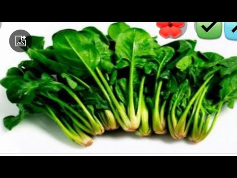 ISPANAĞI BİRDE BU ŞEKİLDE DENEYİN EMİNİMKİ FAVORİNİZ OLACAK