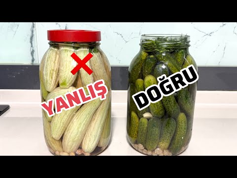 TURŞUYA ASLA KAPAK KAPATMA ÇITIR ÇITIR SALATALIK TURŞU