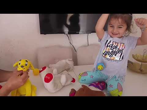 Vlog Video Niloya yaramazlık yapan köpeğin bıyıklarını