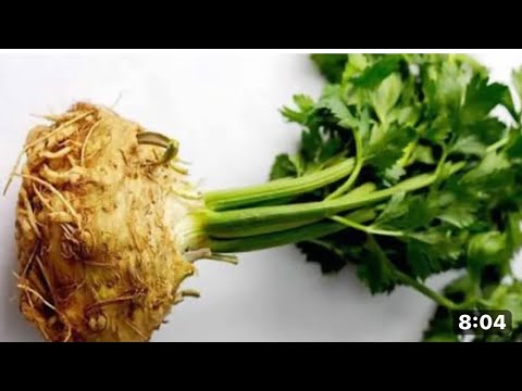 Zeytinyağlısı nasıl yapılır Bundan sonra sevmeyen yemeyen