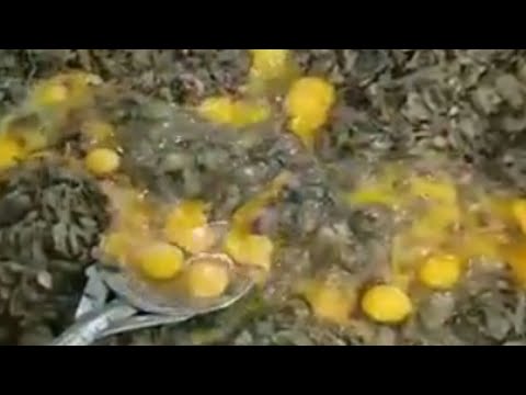 FIRINDA MANTAR TARİFİ MÜTHİŞ BİR LEZZET