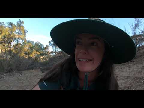 Camping Outback Australia Things We Found
