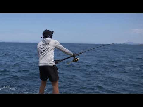 Chasing Giants