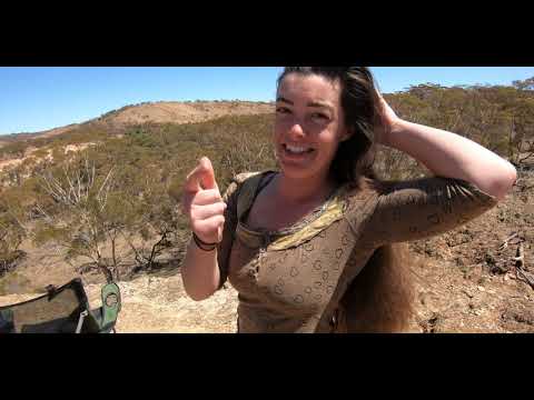 48 Hours Camping Outback Australia with Weird Animals