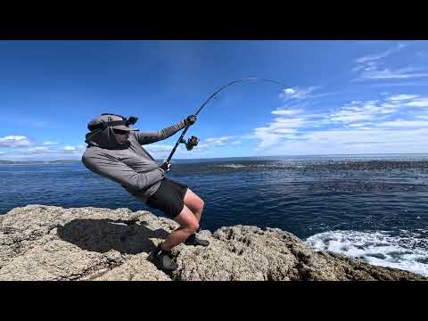 I Spent 12 Hours Fishing a Feeding Frenzy Giant Fish