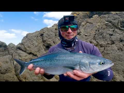 Casting Lure into Feeding Frenzy in Crystal Clear Water