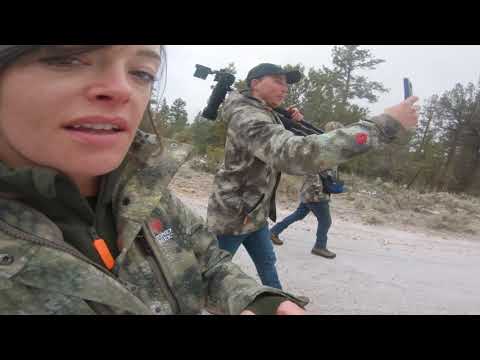 What Wild Animals We Found In The Wilderness Better than