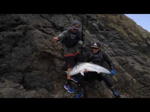 BIG SHARK as Ryota lands 1 2m FISH We had no idea it was