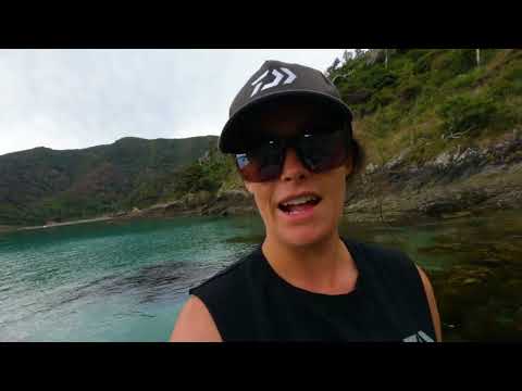 Weird Fish Crystal Clear Water Island Camping