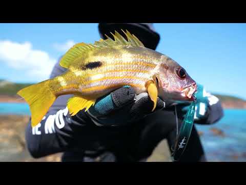 I Fished and Camped on a Tropical Island Paradise