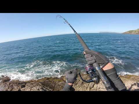 MEGA FISH BIGGEST EVER CAUGHT