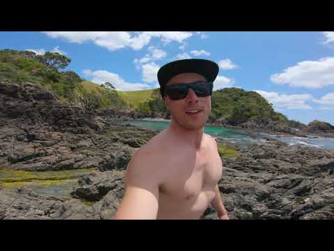 PUTTING HUGE FISH IN CRYSTAL CLEAR TIDE POOL