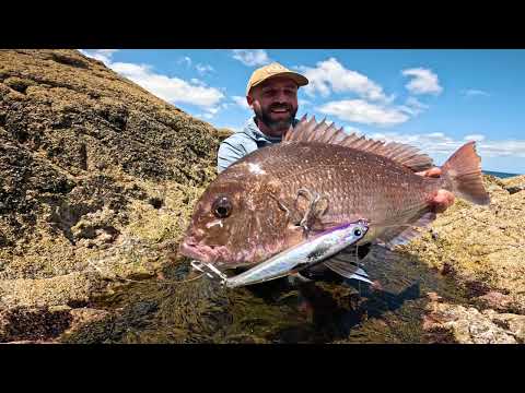 I Tested the Fishing in New Zealand