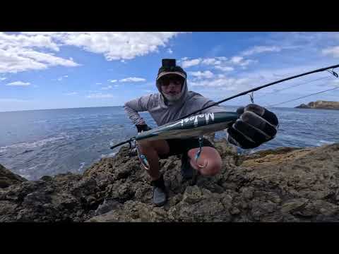 3 Days Solo Fishing an Amazing ledge