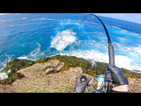 6 STRIKES IN 60 SECONDS Powerful Fish plus extra never seen