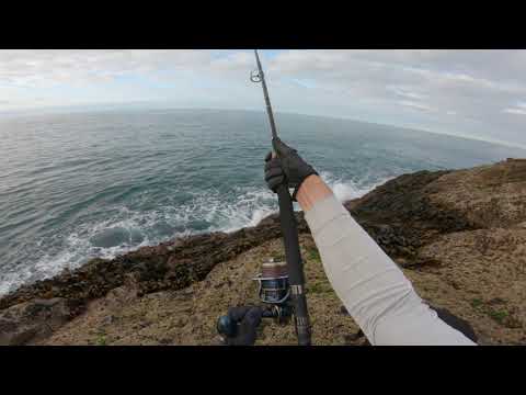 Fish Of A Lifetime