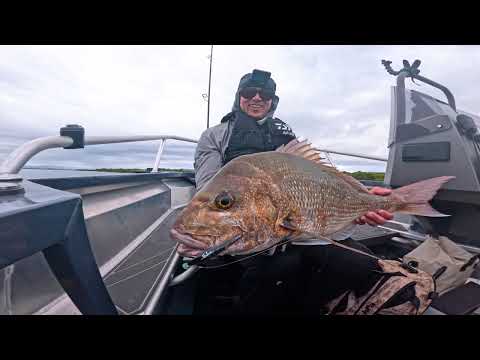 I Fished New Zealands Clearest Water