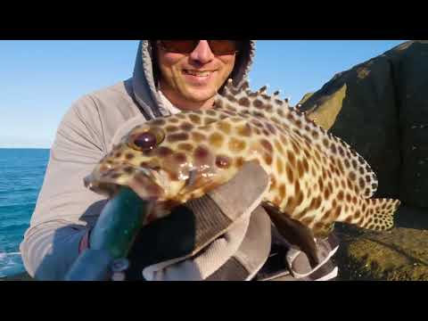Once in a Lifetime Fishing Trip Camping this Secret Bay