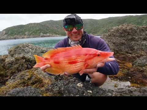 24hr Solo Boat Camping in Rain Fishing for Food