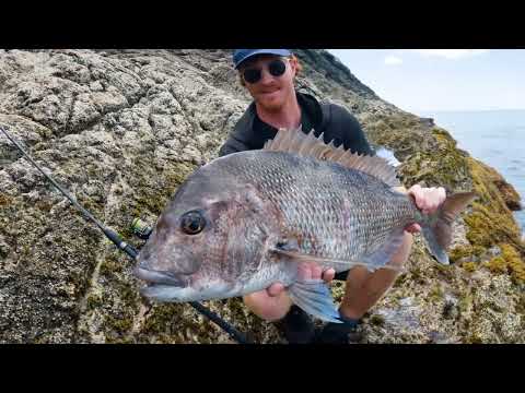 A Day of Lure Fishing NEW zones Mega frenzy Found