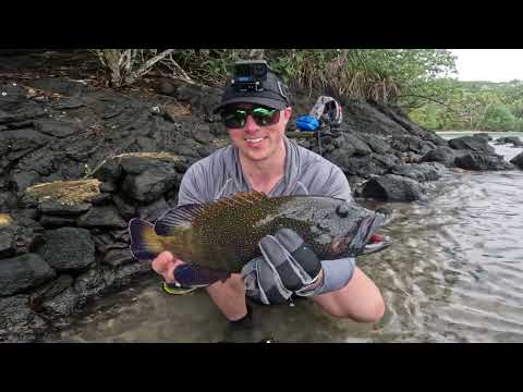 Fish Every Cast at this Secret Tropical Island