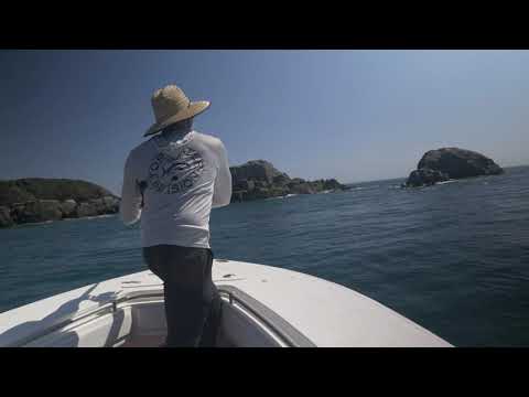 Are These The Toughest Fish In The World Fishing Tropical