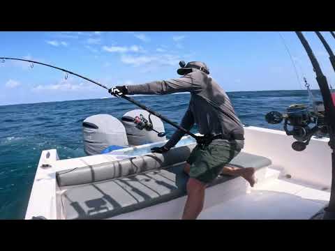 I Tested the Worlds Largest GT Fishing Spot