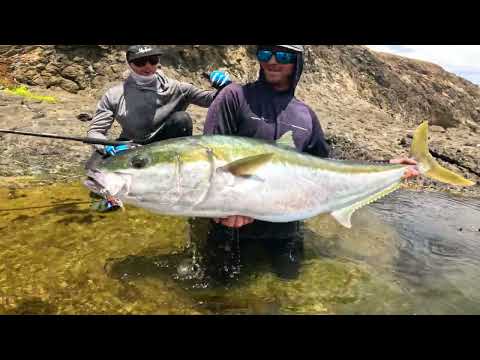 A Fishing Adventure in Remote Paradise 3 Giants Caught