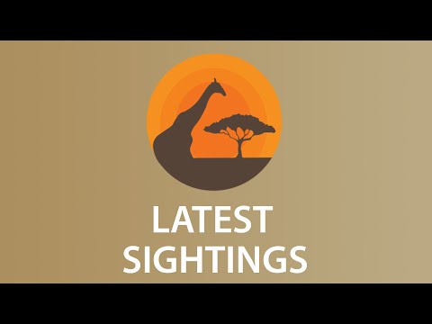 Latest Sightings Watch the Latest Exclusive and Most