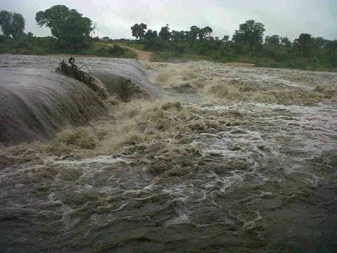 Kruger Floods 19 January 2013 Latest Sightings