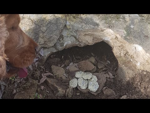 Sunak Taşının Yanındaki Define Kasalarını Açtım