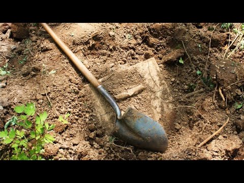 Vazgeçmiştim Ama Son anda Defineyi Buldum