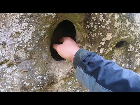 Define Kasasına Kolumu Soktum Hop Zehirli Yılan