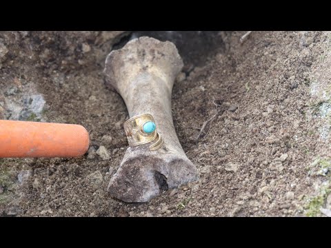Bıraktığım Define Kasası Dolu Çıktı