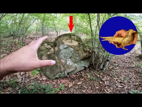 Dağada Define İşaretini Bulunca Altın Tavus Kuşları Buldum