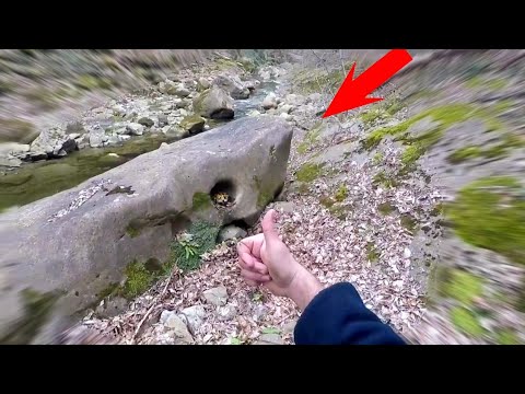 Define İşaretli Kaplumbağa Buldum Yanında Çok Fena Düştüm