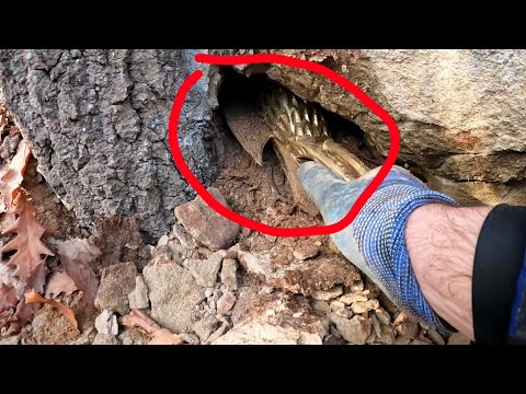 Define Kasasından Pahabiçilmez Eser Çıktı