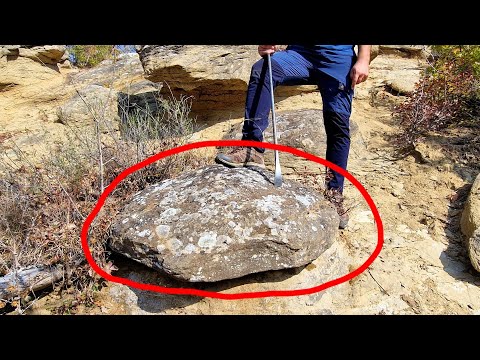 Yılan Yuvasında Define Buldum